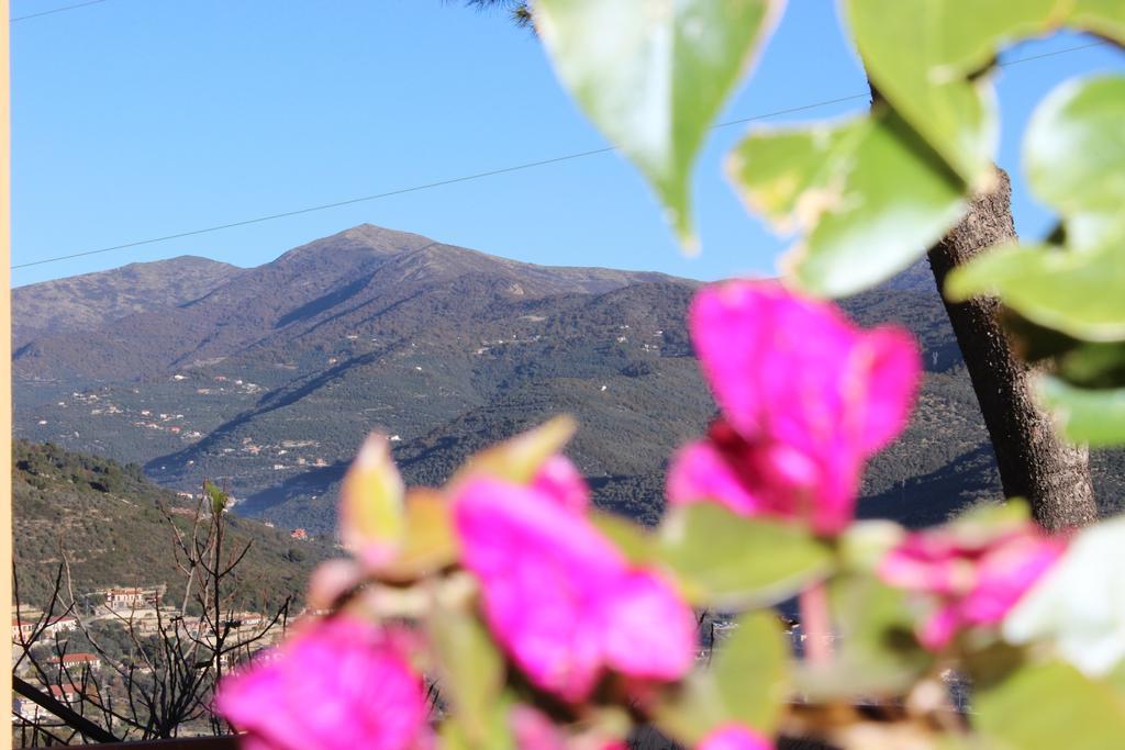 Tenuta Domine Imperia Oda fotoğraf